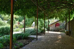 Pergola Na Terasu